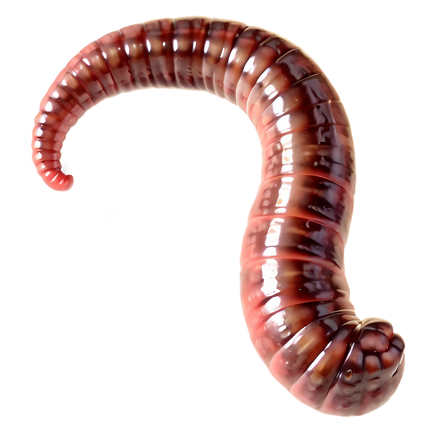 Realistic Earthworm Png Uks