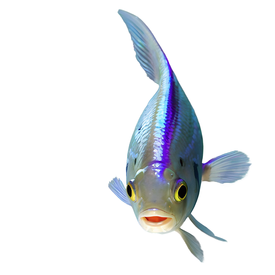 Realistic Fish Transparent Png 05262024