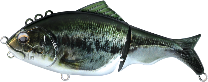 Realistic Fishing Lure Carp Design