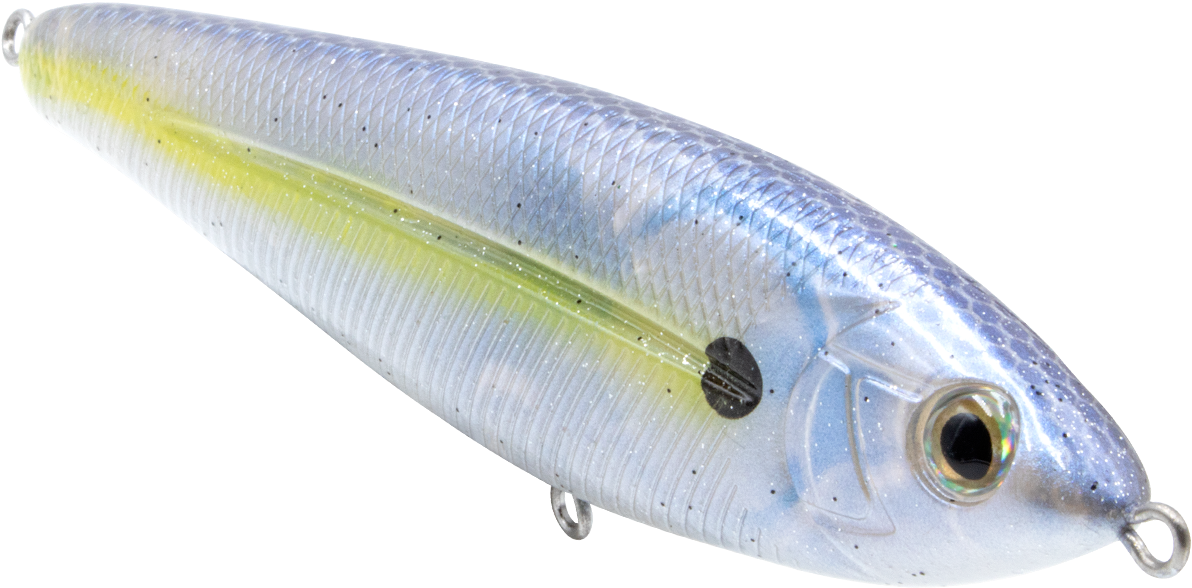 Realistic Fishing Lure Eel Design