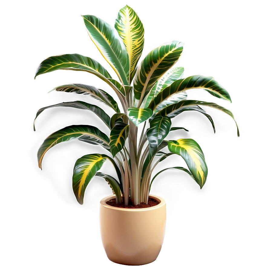 Realistic Floor Plant Png 60