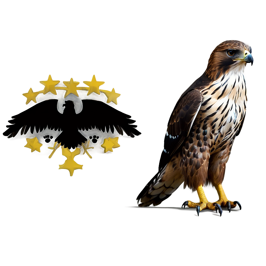 Realistic Hawk Drawing Png Eey