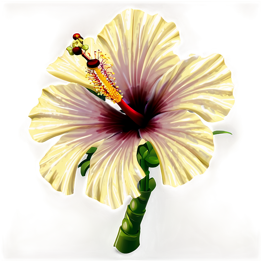 Realistic Hibiscus Png 05232024