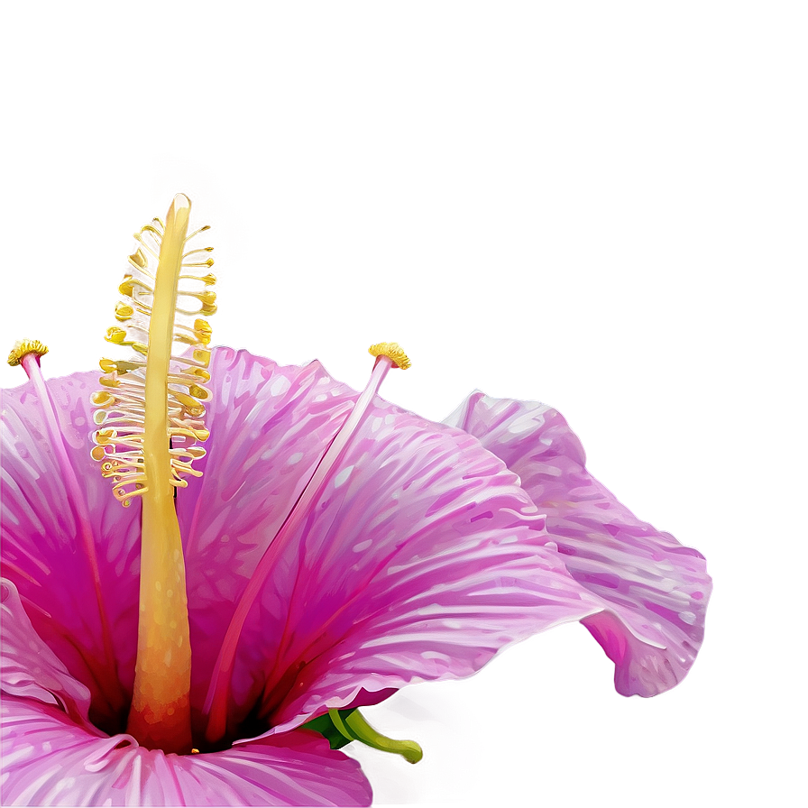 Realistic Hibiscus Png 55