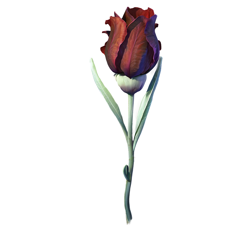 Realistic Indie Flower Png Vfl