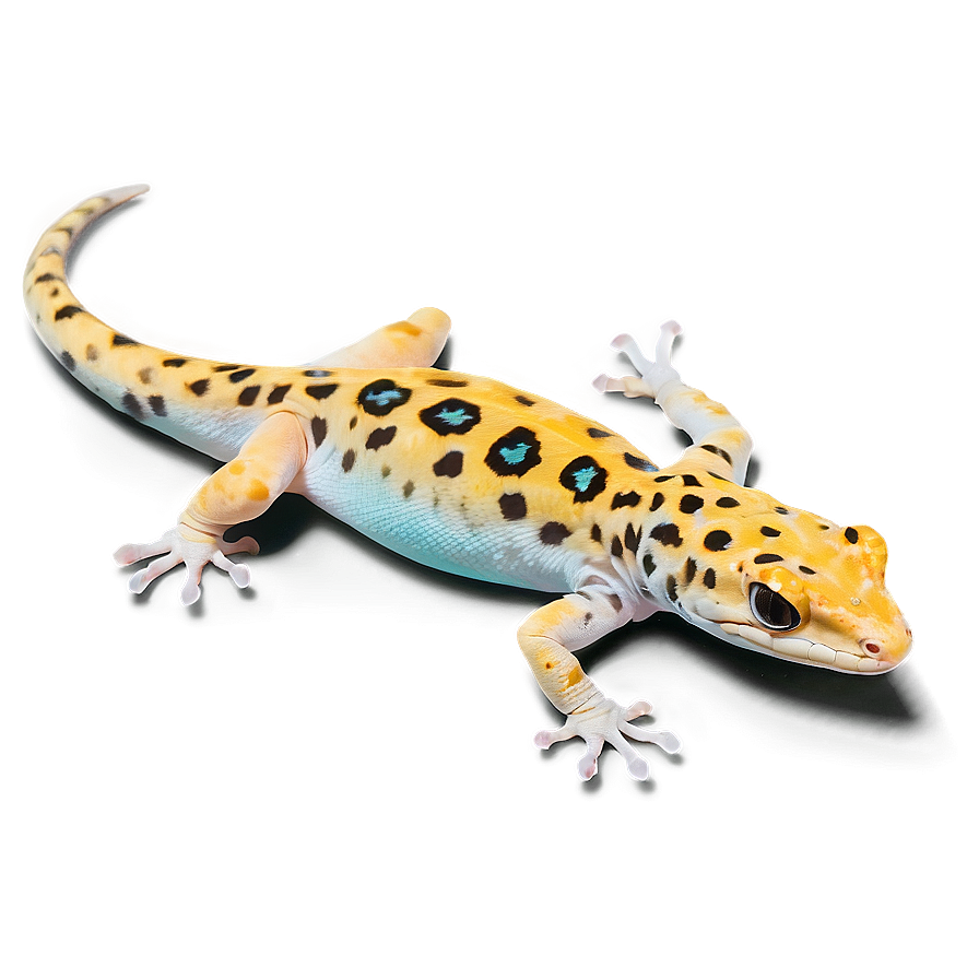 Realistic Leopard Gecko Png Cda