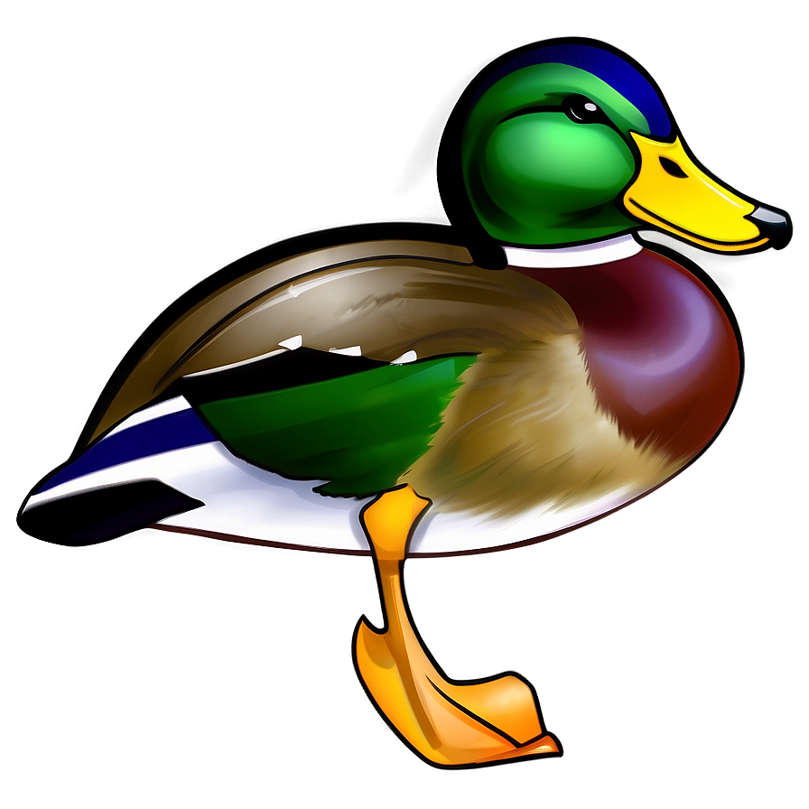 Realistic Mallard Duck Png 28