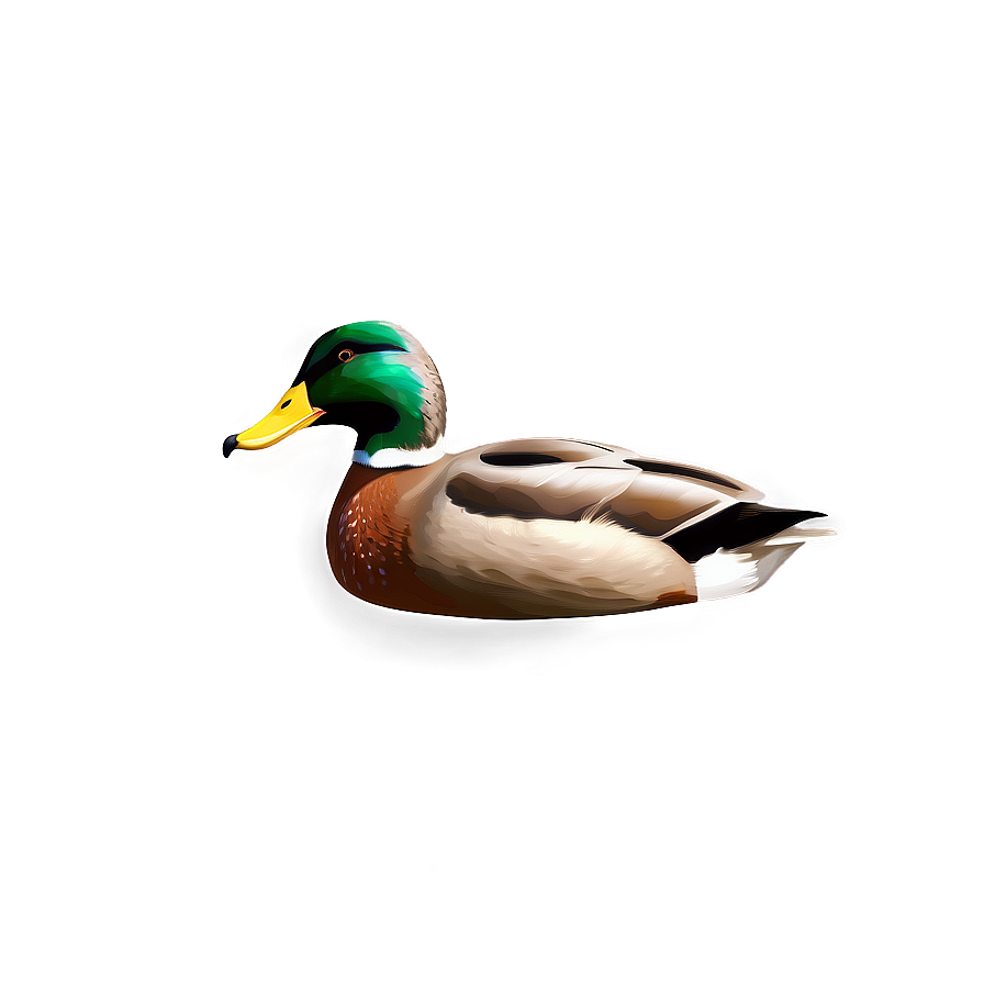 Realistic Mallard Duck Png Gfr