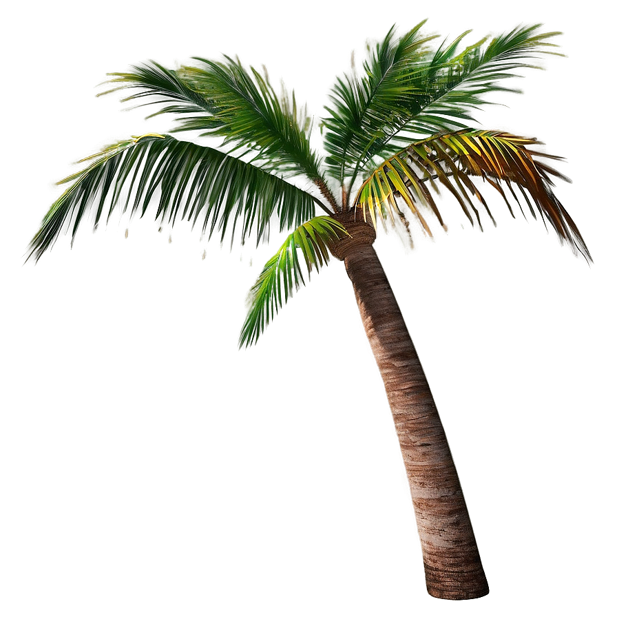 Realistic Palm Tree Png Xsn92