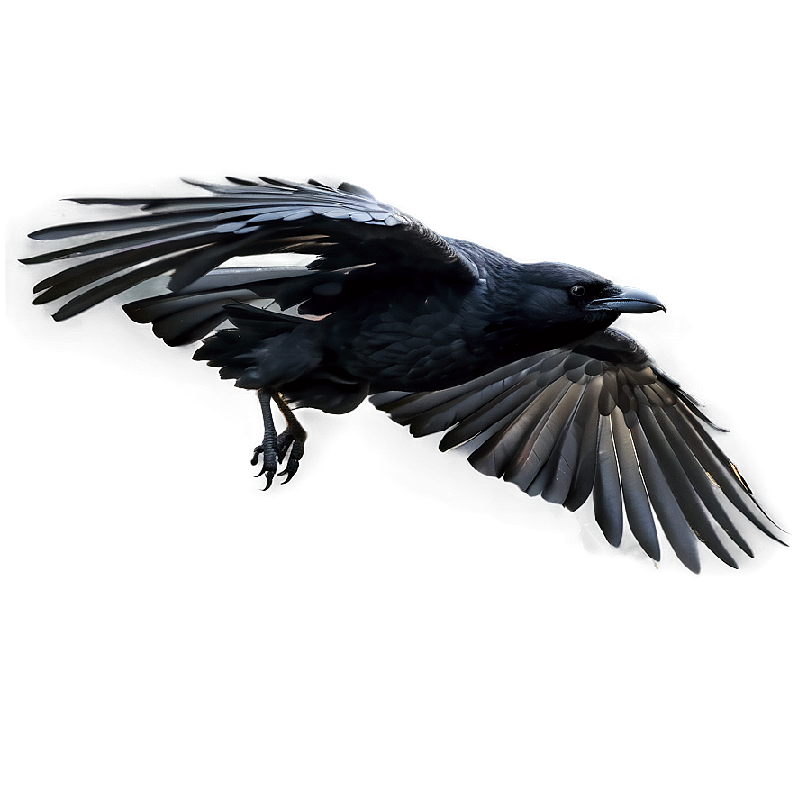 Realistic Raven In Flight Png 06122024