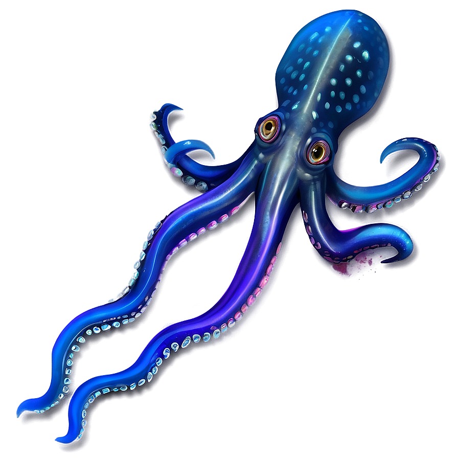 Realistic Squid Art Png 86