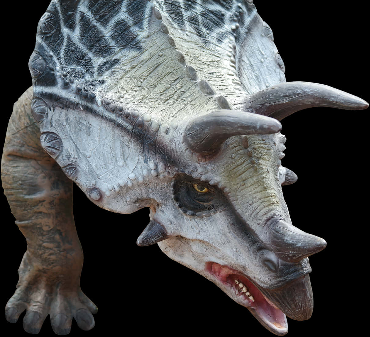 Realistic Triceratops Model