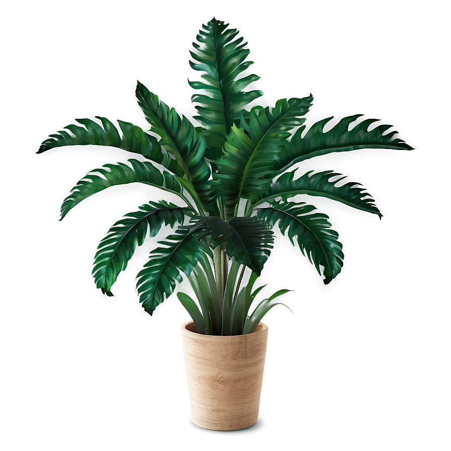 Realistic Tropical Plant Png Kyb