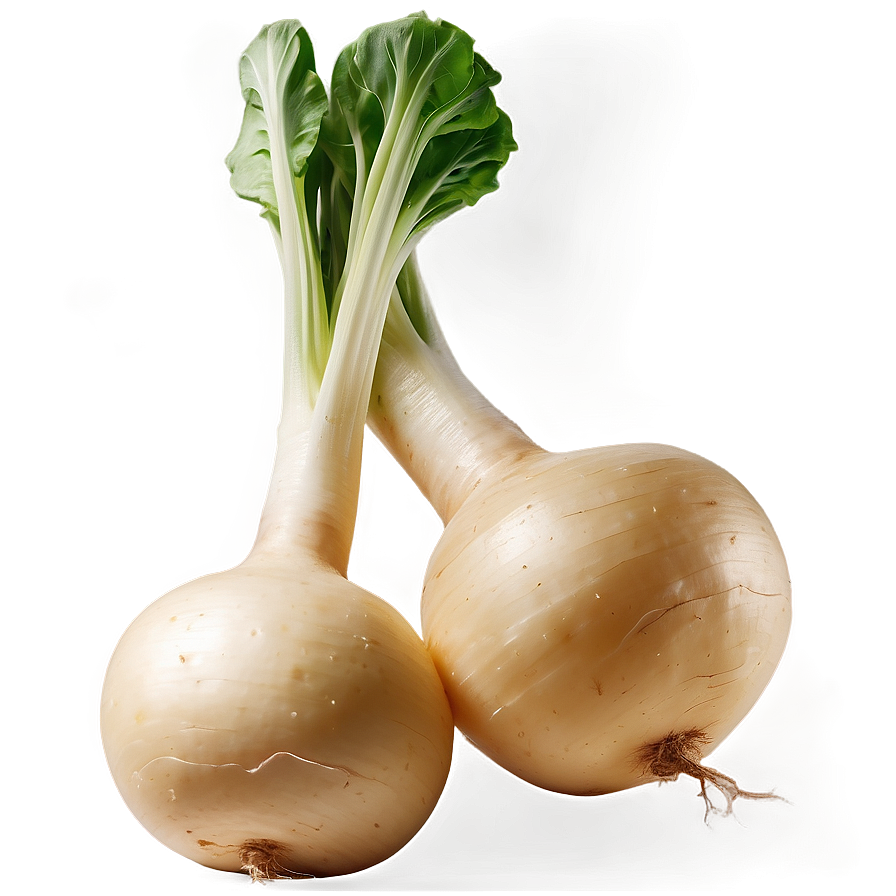 Realistic Turnip Png Jqo30