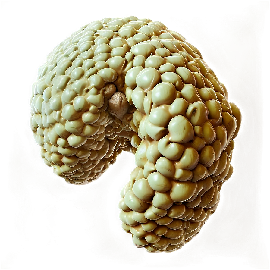 Realistic Vomit Texture Png 98