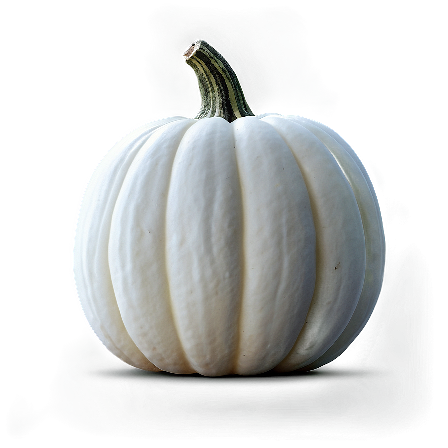 Realistic White Pumpkin Png Mfs53