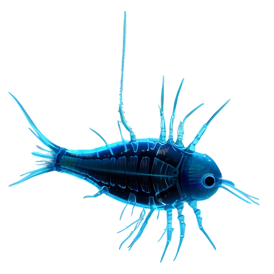 Realistic Zooplankton Png 06292024