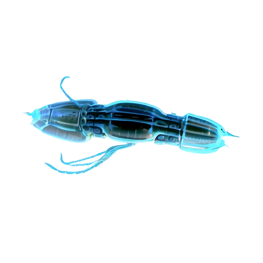 Realistic Zooplankton Png 92