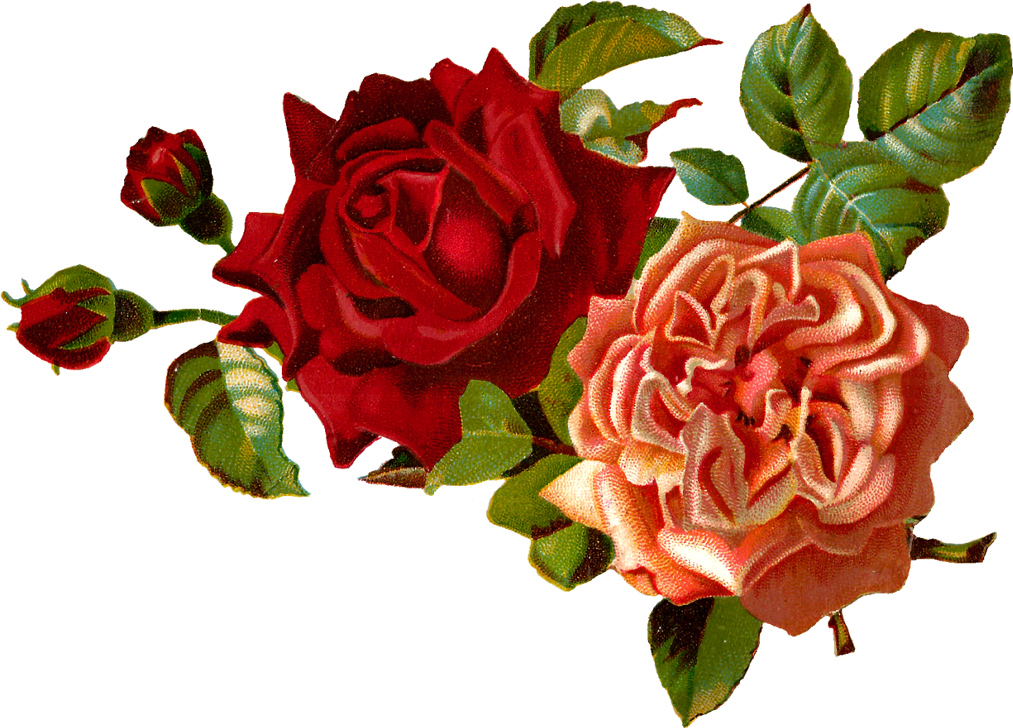 Red_and_ Peach_ Roses_ Arrangement.png