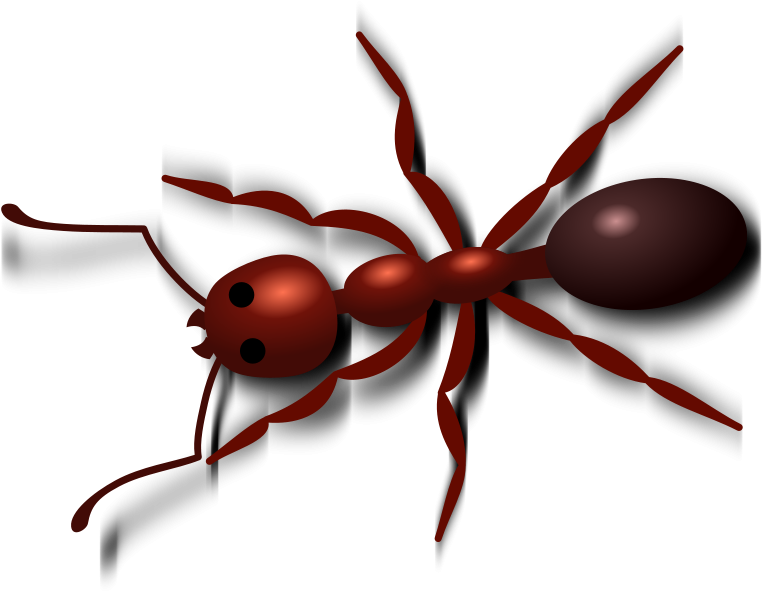 Red Ant Illustration