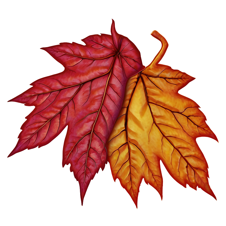 Red Autumn Leaf Image Png 06202024