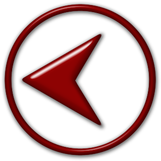 Red Back Arrow Icon