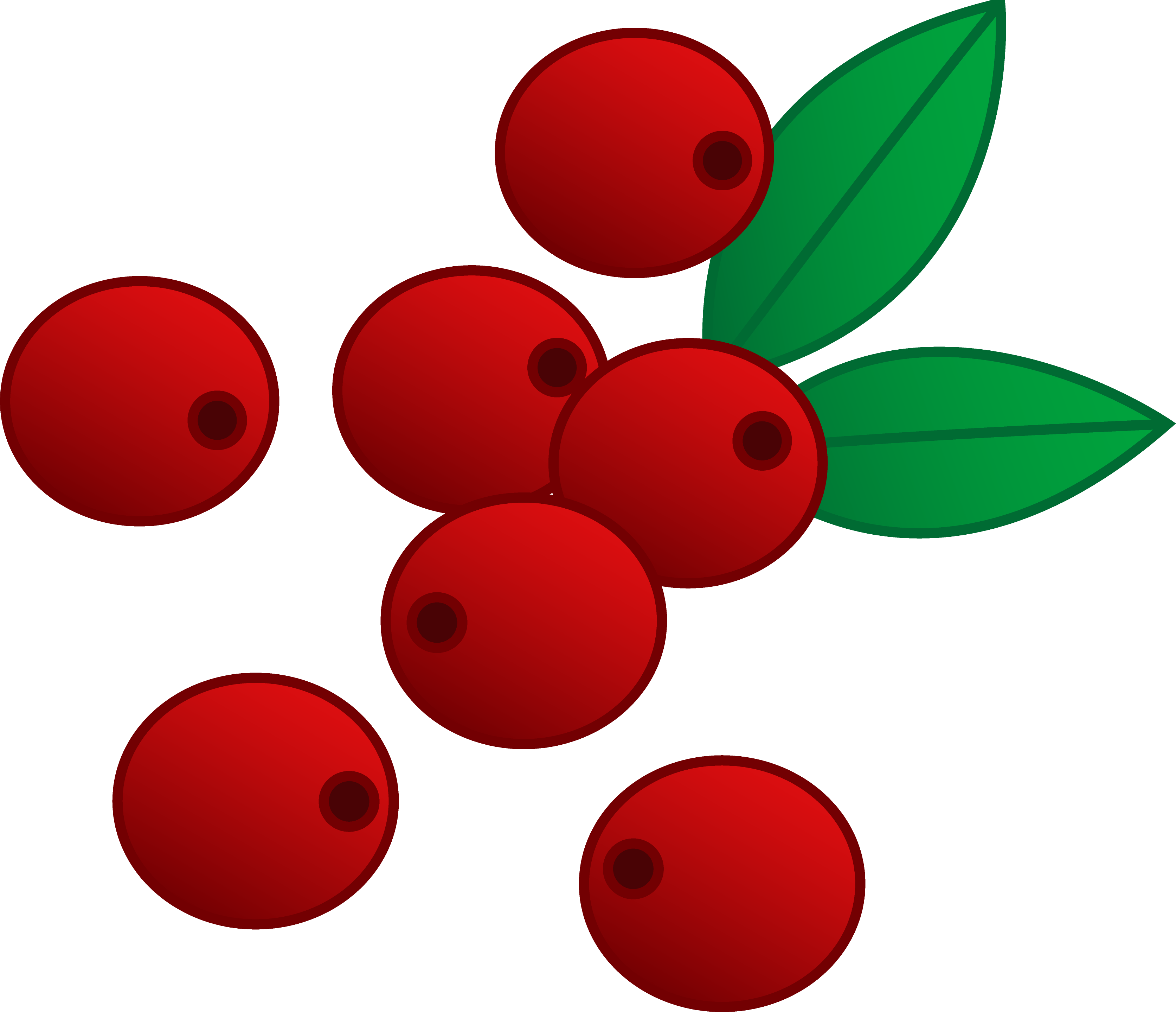 Red Berries Illustration