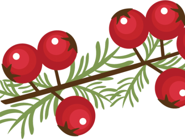 Red Berries Illustration