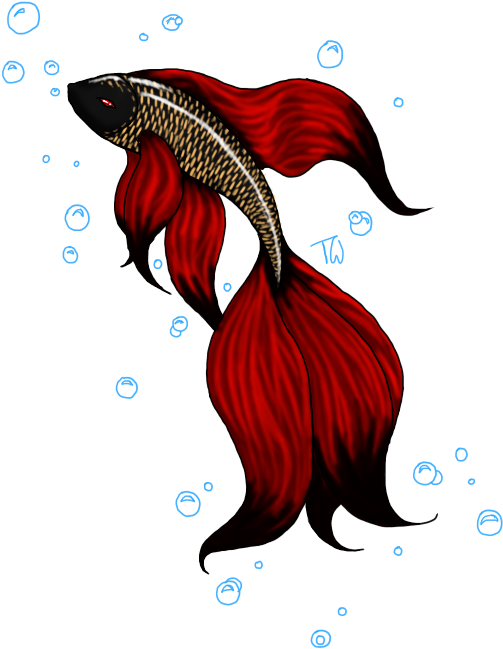 Red Betta Fish Artwork