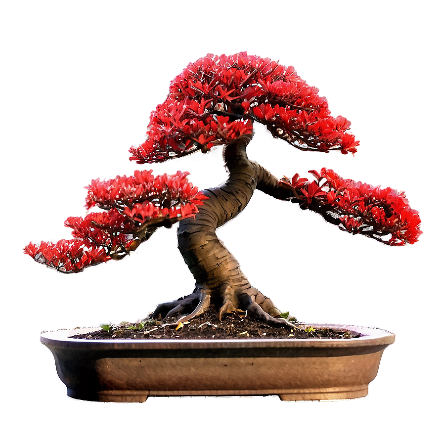 Red Bonsai Tree Drawing Png Tfg