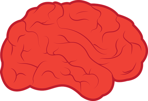 Red Brain Illustration