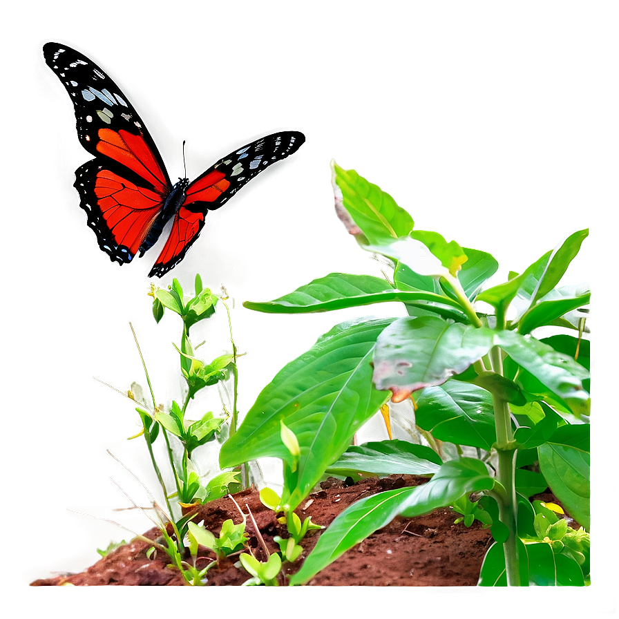 Red Butterfly In Garden Png 35