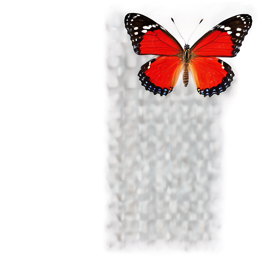 Red Butterfly Top View Png Gya