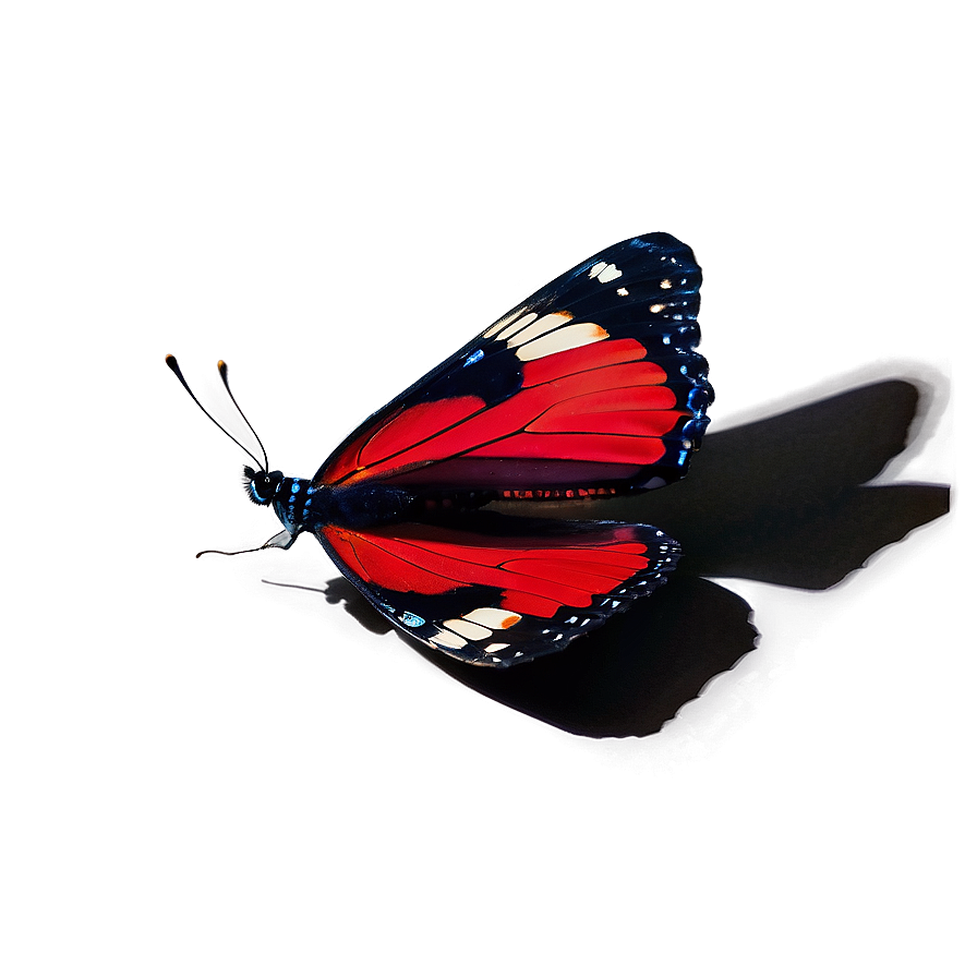 Red Butterfly With Shadows Png 06122024