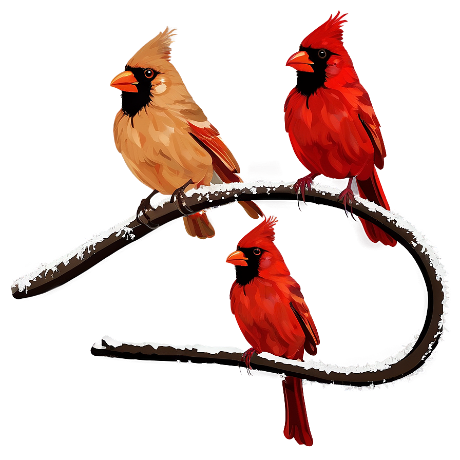 Red Cardinal Clipart Png Kkv44