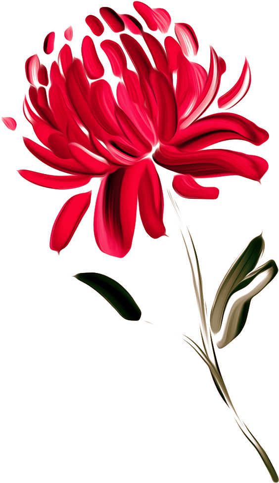 Red Chrysanthemum Artistic Representation