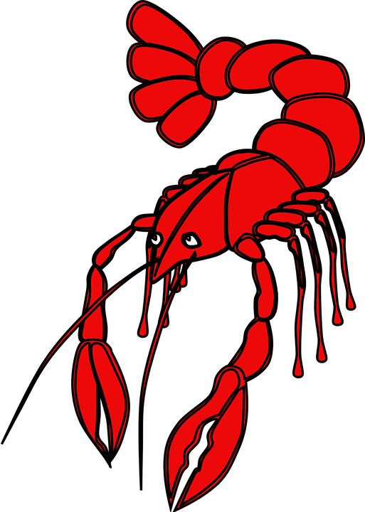 Red Crayfish Illustration