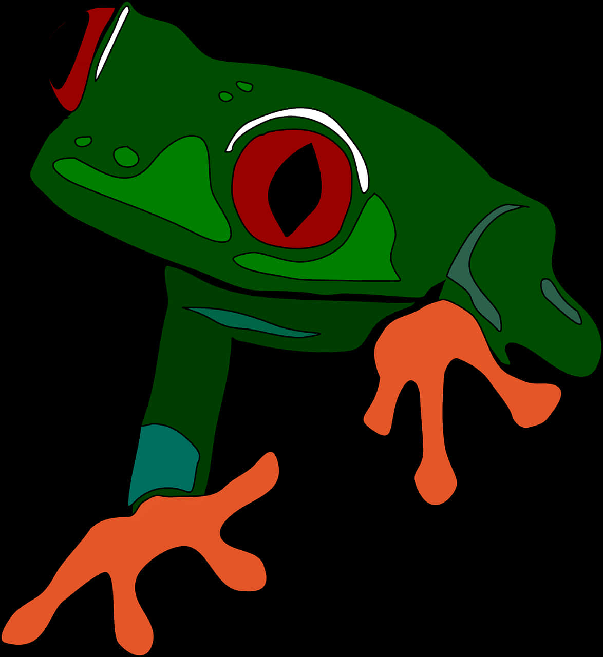 Red Eyed Tree Frog Illustration