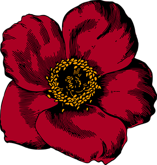 Red Floral Graphic Art