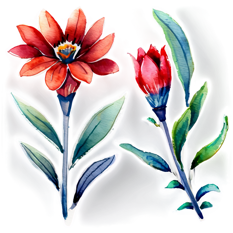 Red Flowers Watercolor Png 06122024