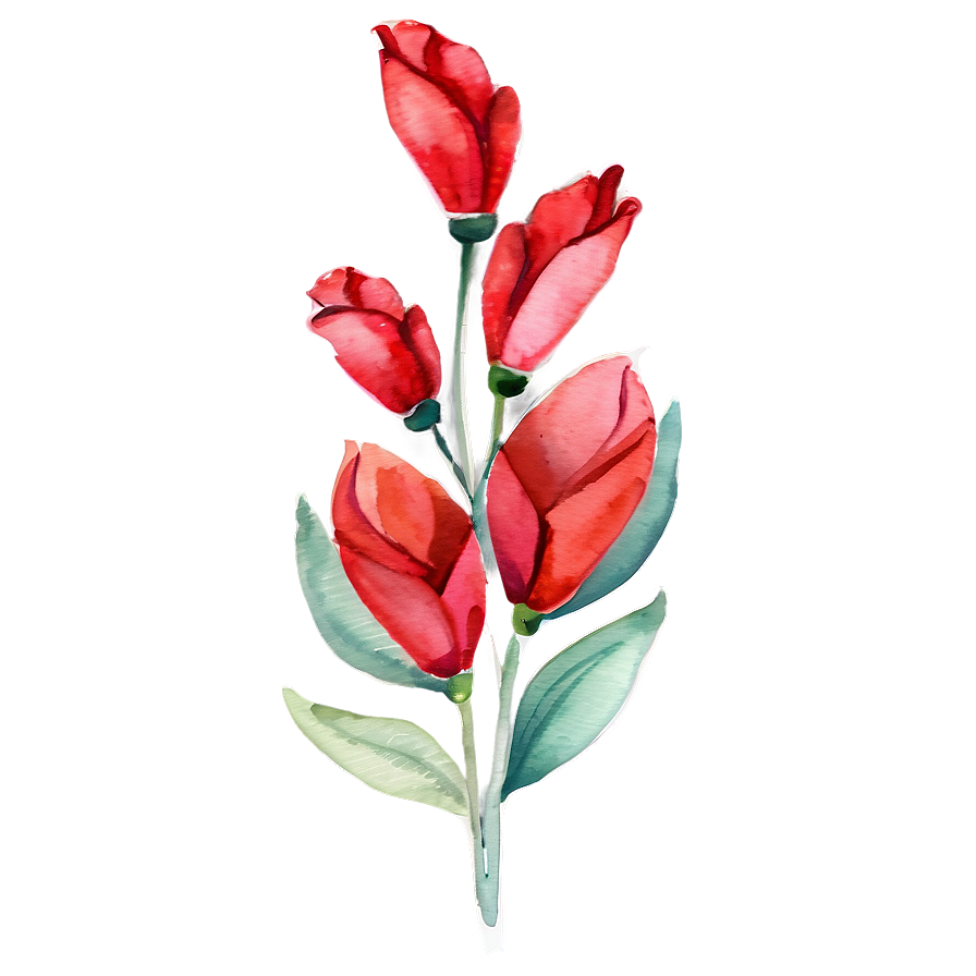 Red Flowers Watercolor Png 06122024