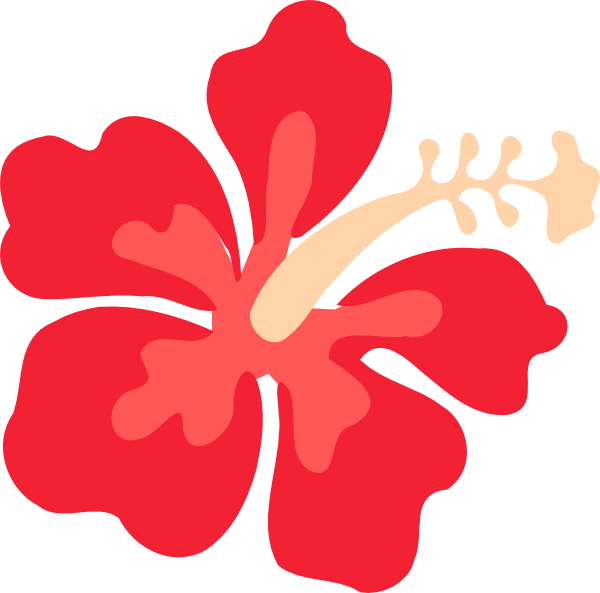 Red Hibiscus Graphic