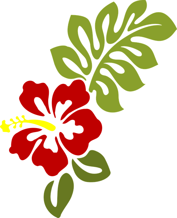 Red Hibiscus Vector Illustration