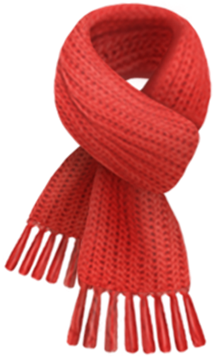 Red Knitted Scarfwith Fringe