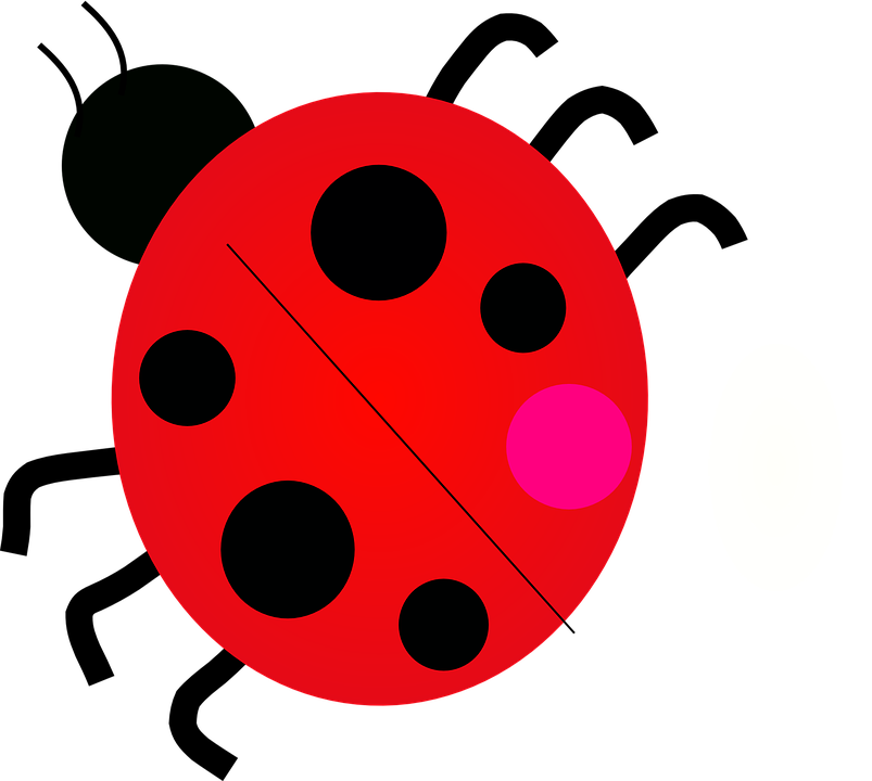 Red Ladybug Cartoon Graphic