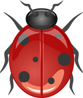 Red Ladybug Cartoon Graphic