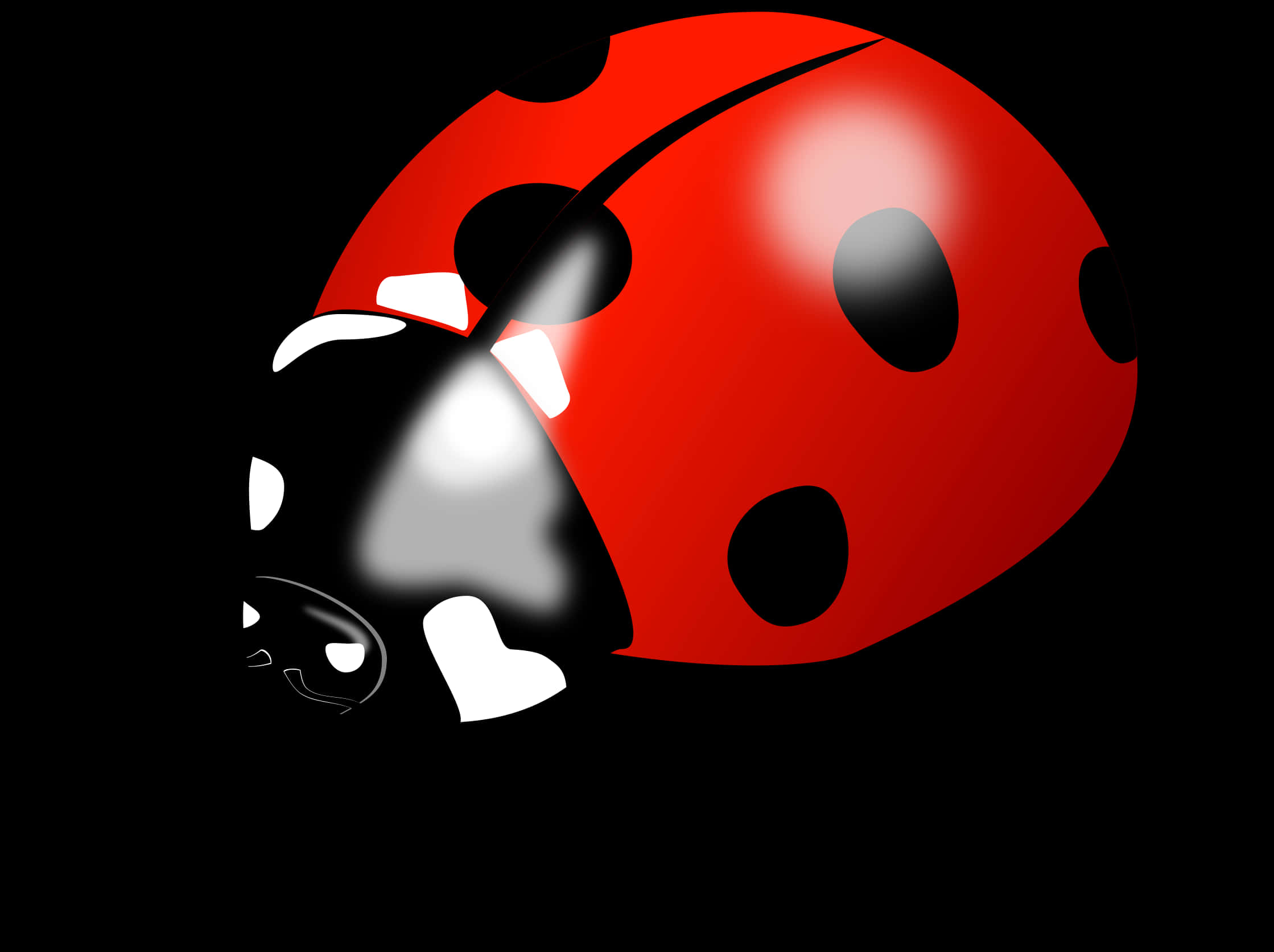 Red Ladybug Illustration