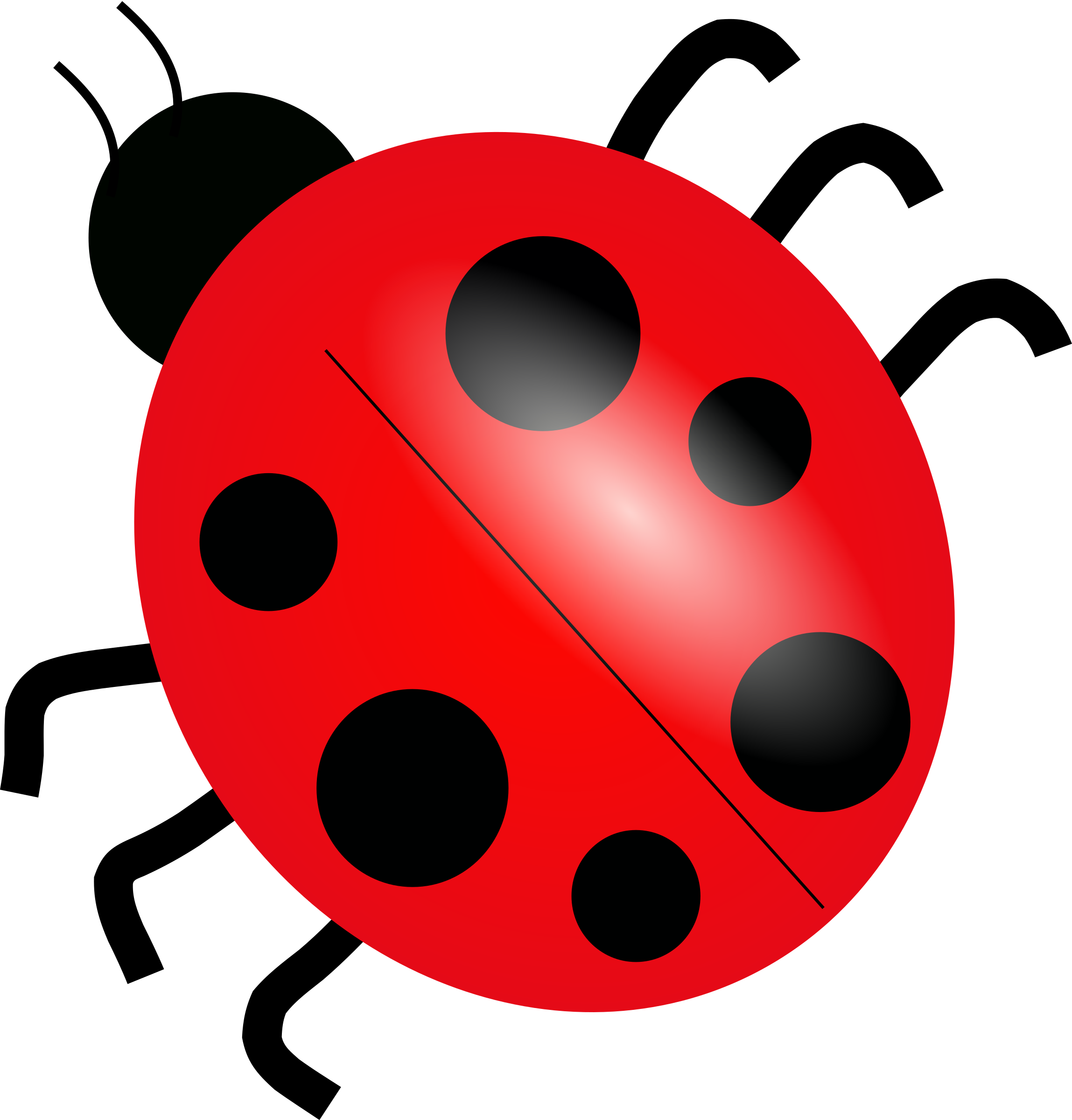 Red Ladybug Illustration.png