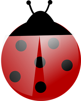 Red Ladybug Illustration