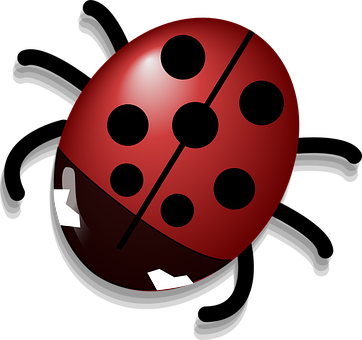 Red Ladybug Illustration